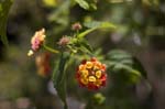 081007-RoadTrip08_MG_2493_1