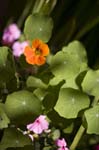 081007-RoadTrip08_MG_2500_1