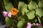 081007-RoadTrip08_MG_2501_1