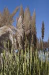 081011-RoadTrip08_MG_2592_1